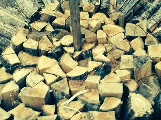 [Hearth.com] Holz Hausen - Goot, or bad?