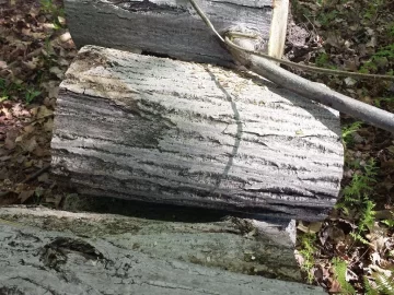 [Hearth.com] Wood Id