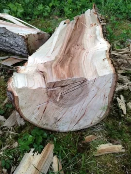 [Hearth.com] Wood ID