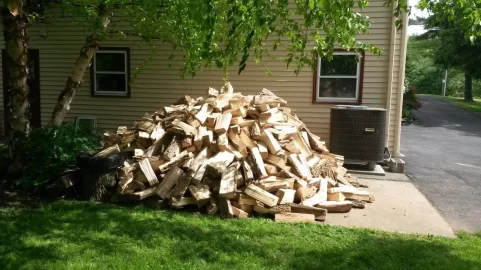 [Hearth.com] Now that my neighbors think I'm totally crazy.....