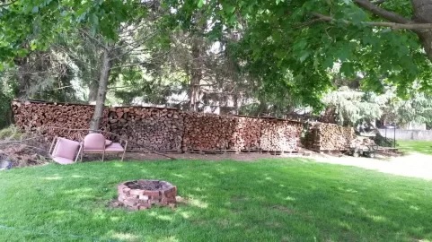 [Hearth.com] Now that my neighbors think I'm totally crazy.....