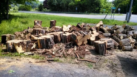 [Hearth.com] Yesterday's Score... Black Locust