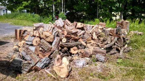[Hearth.com] Yesterday's Score... Black Locust