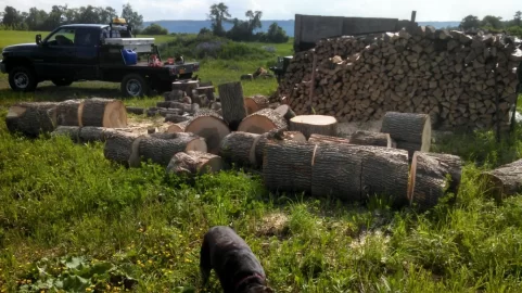 [Hearth.com] Yesterday's Score... Black Locust