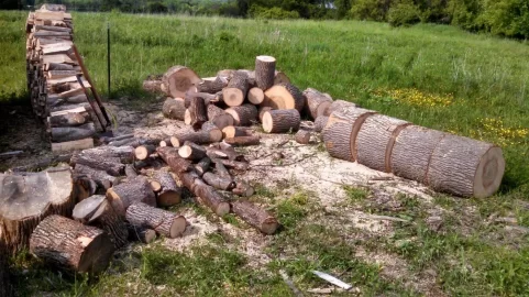 [Hearth.com] Yesterday's Score... Black Locust