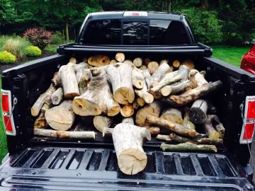 [Hearth.com] Need help identifying, picking up this free wood in two hours.