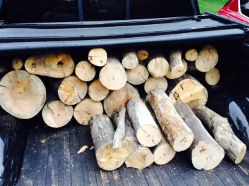 [Hearth.com] Need help identifying, picking up this free wood in two hours.