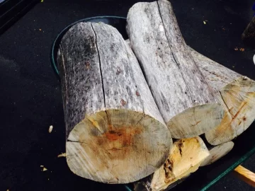 [Hearth.com] Need help identifying, picking up this free wood in two hours.