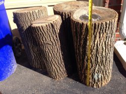 [Hearth.com] tulip poplar, best way to approach these rounds?