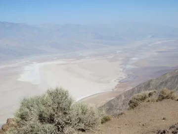 [Hearth.com] Re: Pretty hot