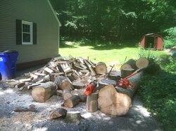 I was worried about having enough wood for this year