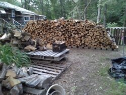 The Unmistakable Sound Of Your Fire Wood Stack Falling Over....