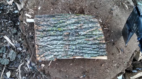 [Hearth.com] Wood ID!!!!