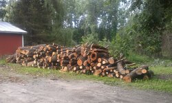 Load of logs on the way.