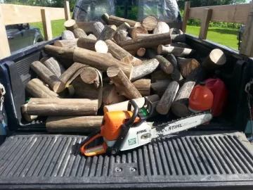 [Hearth.com] Another load.   Pulling down standing dead elm.