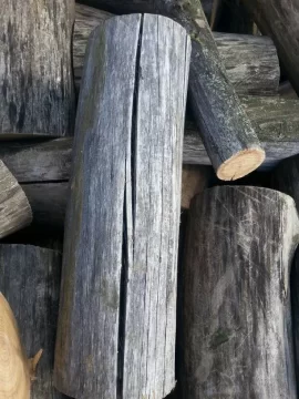 [Hearth.com] Another load.   Pulling down standing dead elm.
