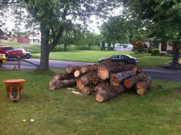 [Hearth.com] Log of Pine came in!!!