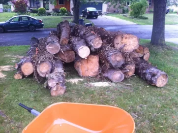 [Hearth.com] Log of Pine came in!!!