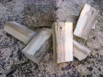 [Hearth.com] Another Wood ID Exercise