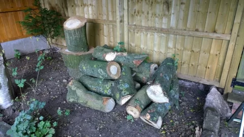 [Hearth.com] Wood ID request