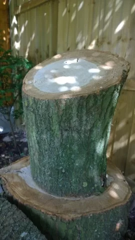[Hearth.com] Wood ID request