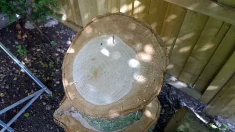[Hearth.com] Wood ID request