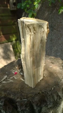 [Hearth.com] Wood ID request