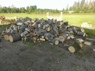 [Hearth.com] This will keep me busy...