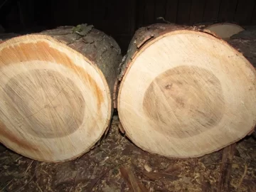 [Hearth.com] Wood ID, Please