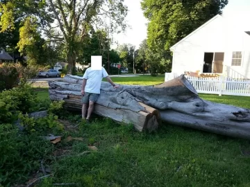 [Hearth.com] huge beech