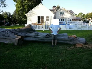 [Hearth.com] huge beech