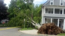 Hurricane Arthur tree falls in my hometown