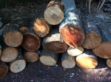 [Hearth.com] Wood ID Please......
