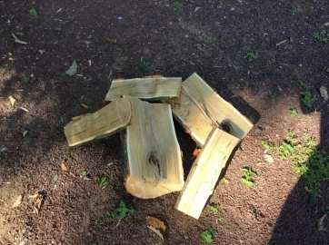 [Hearth.com] Wood ID Please......