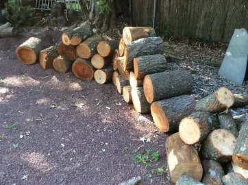 [Hearth.com] Wood ID Please......