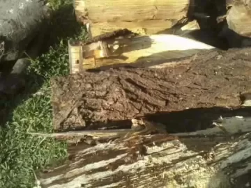 [Hearth.com] Oak, Pine and mystery wood
