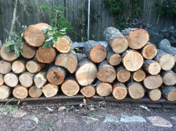 [Hearth.com] Wood ID Please......