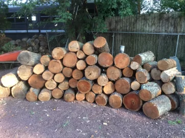 [Hearth.com] Wood ID Please......