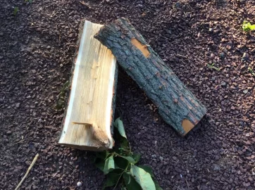 [Hearth.com] Wood ID Please......