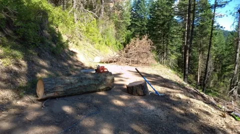 [Hearth.com] First Red Fir of the year