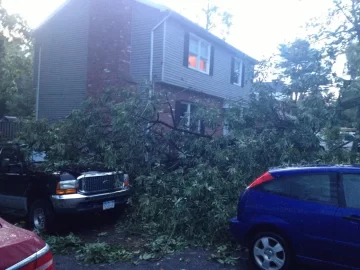 [Hearth.com] Mother nature gets revenge