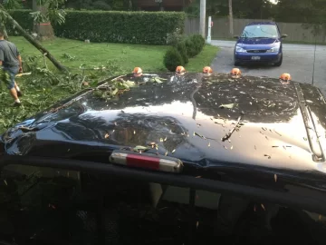 [Hearth.com] Mother nature gets revenge