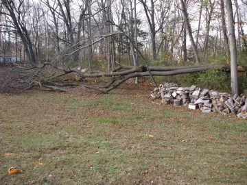 [Hearth.com] Mother nature gets revenge