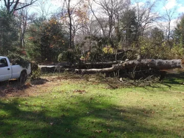 [Hearth.com] Mother nature gets revenge