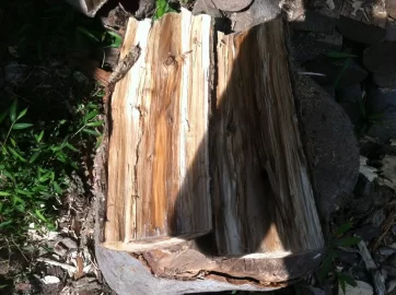 [Hearth.com] I'm thinking hickory?