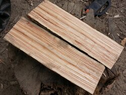 wood identification help