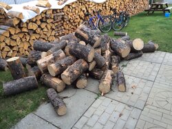 my weekend wood gathering
