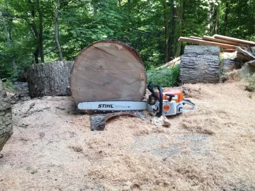[Hearth.com] New Saw!