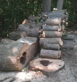 [Hearth.com] New wood from my old place