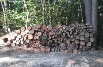 [Hearth.com] New wood from my old place